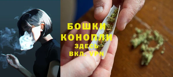 2c-b Богородицк
