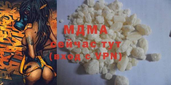 шишки Бородино