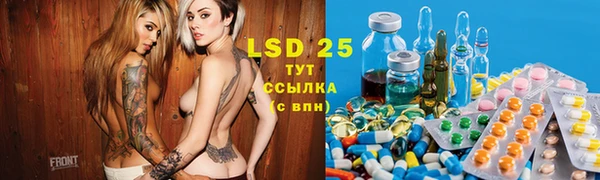 крисы Краснослободск